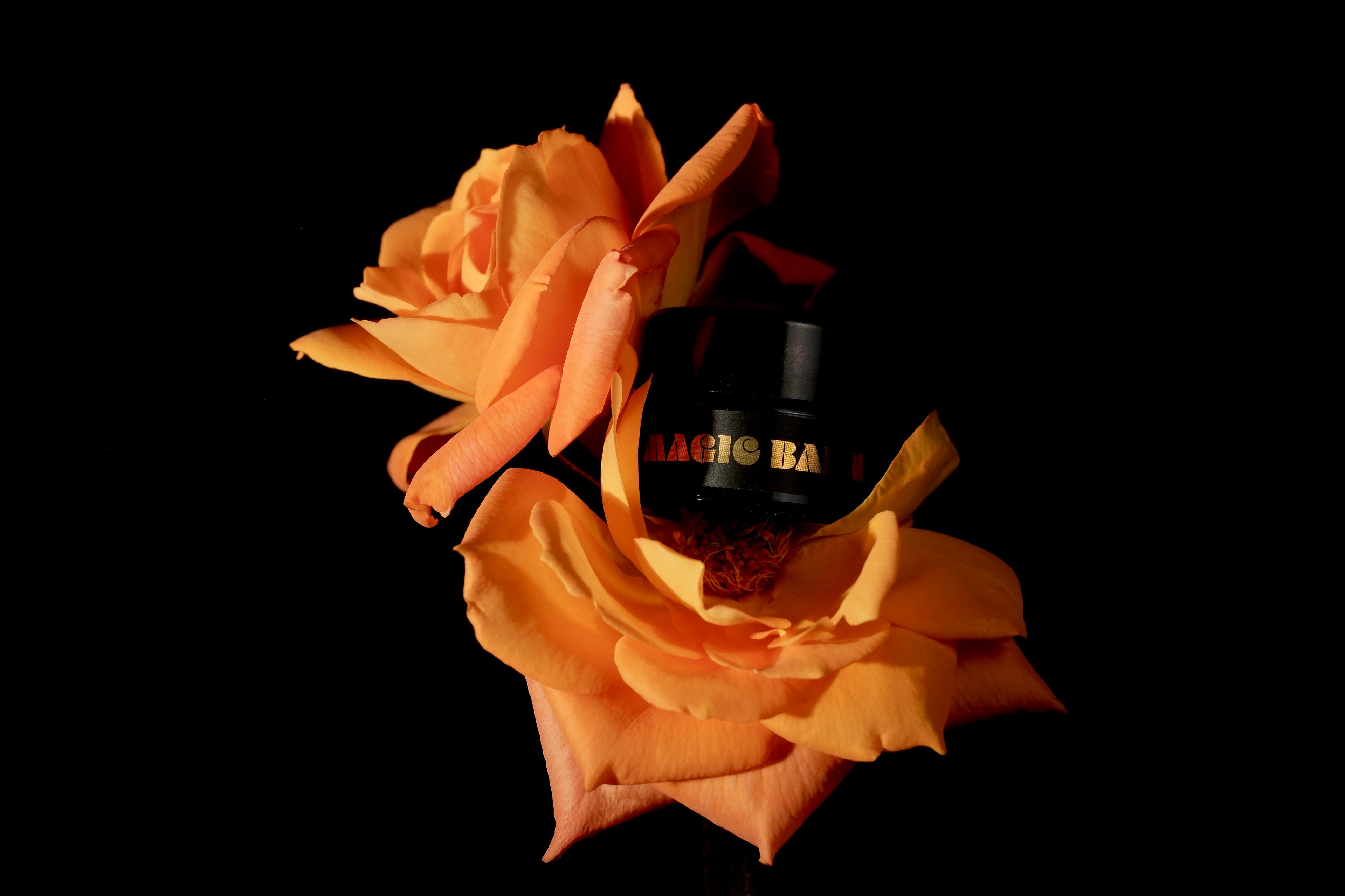 Black jar of Magic Balm nasal balm for inside nose, displayed among orange roses on a black background.